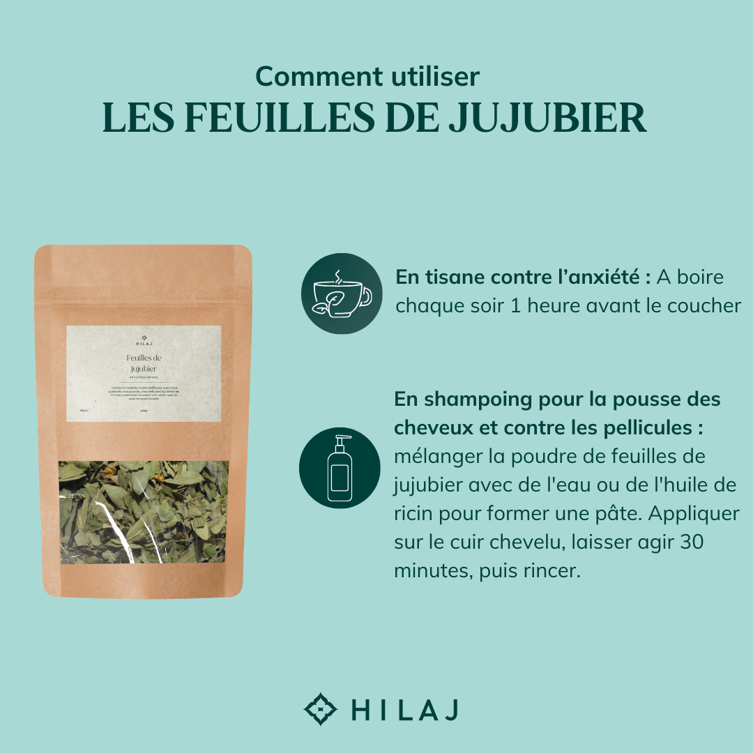 Feuilles de jujubier