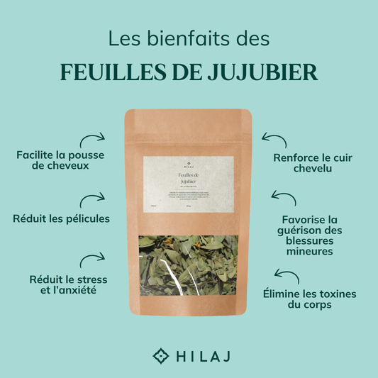Feuilles de jujubier