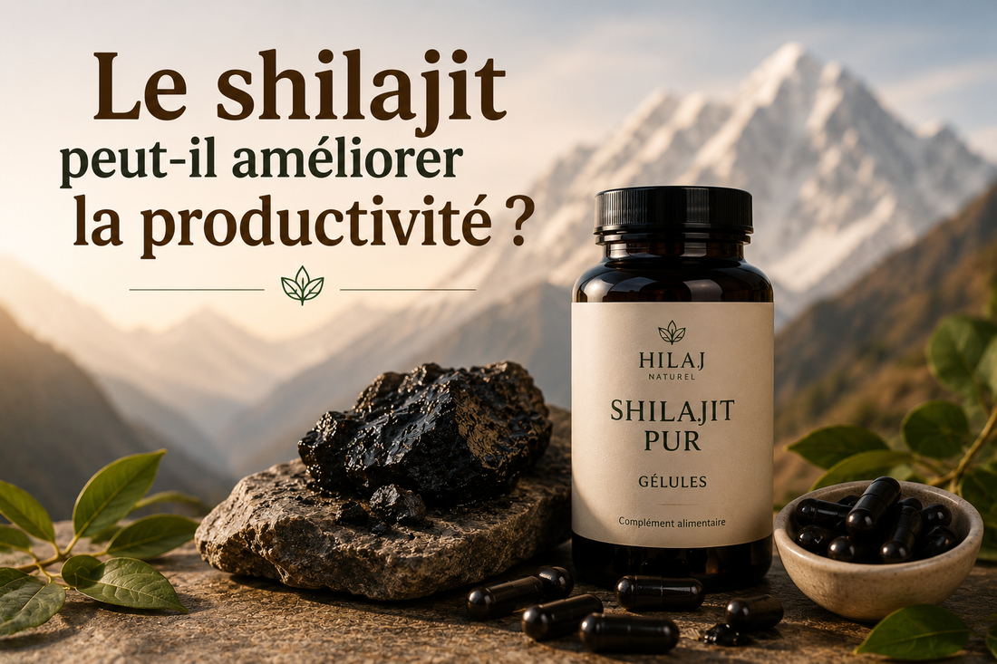 Le shilajit peut-il améliorer la productivité ?