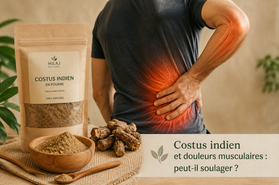 Costus indien et douleurs musculaires : peut-il soulager ?