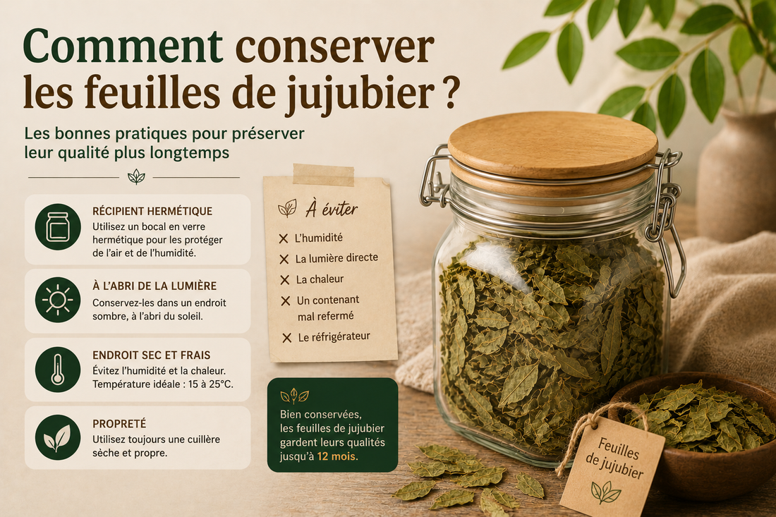 Comment conserver les feuilles de jujubier ?
