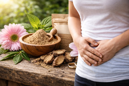 Costus indien bienfaits fertilité : comment cette plante soutient l’équilibre naturel ?