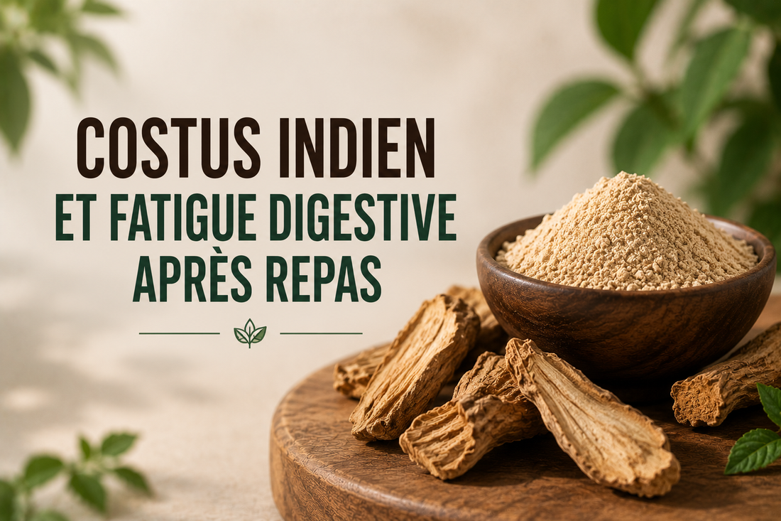 Costus indien et fatigue digestive après repas