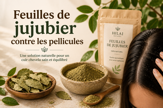 Feuilles de jujubier contre les pellicules