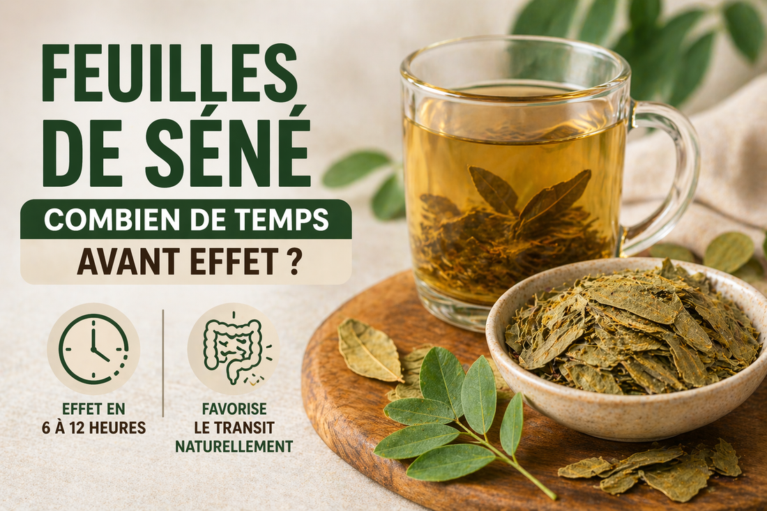 Feuilles de séné : combien de temps avant effet ?