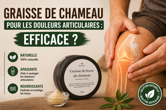 Graisse de chameau pour les douleurs articulaires : efficace ?