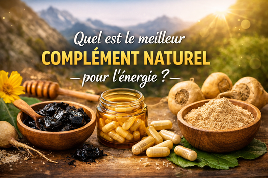 Quel est le meilleur complément naturel pour l’énergie ?