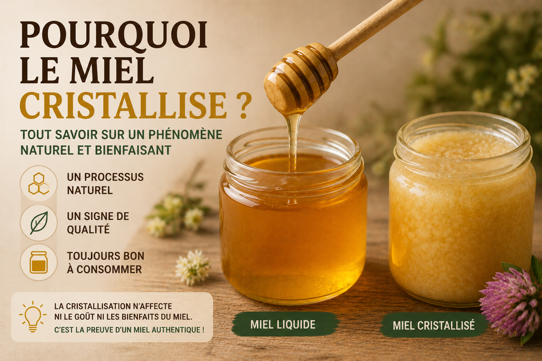 Miel qui cristalise