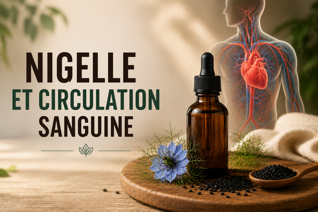 Nigelle et circulation sanguine : ce qu’il faut savoir