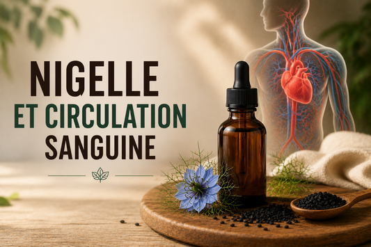 Nigelle et circulation sanguine : ce qu’il faut savoir