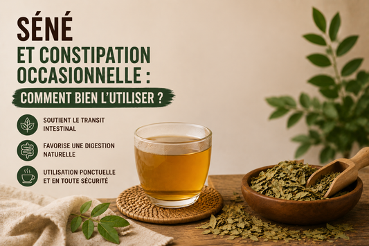 Séné et constipation occasionnelle : comment bien l’utiliser ?