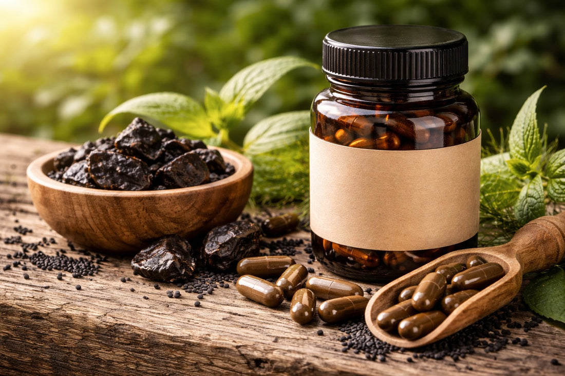 Shilajit dosage par jour