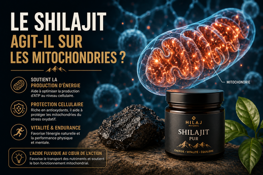 Shilajit  mitochondries
