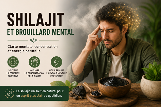 Shilajit pour un esprit clair