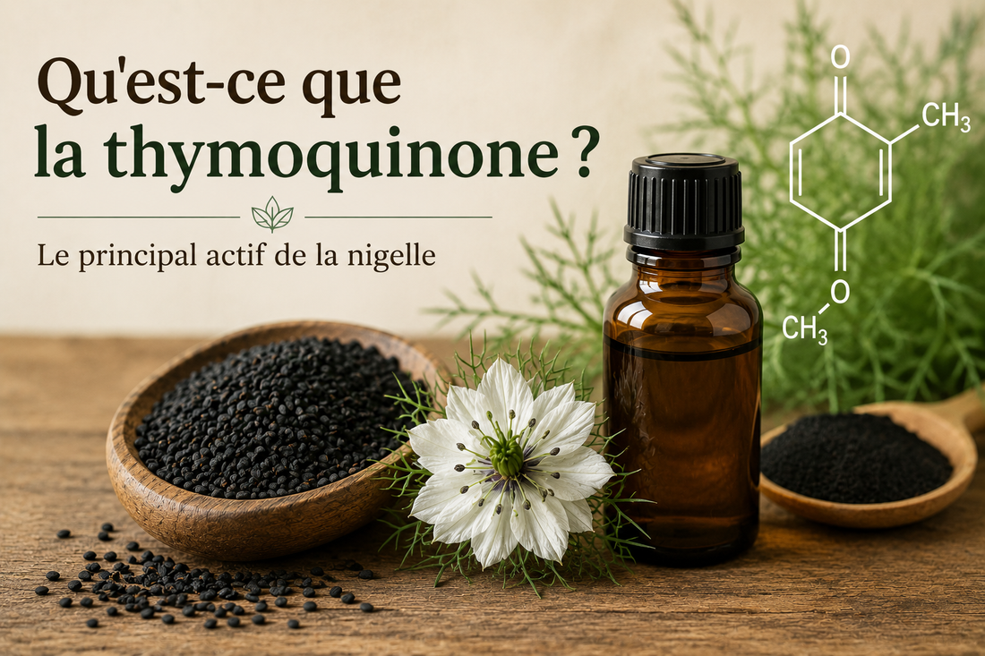 Qu'est-ce que la thymoquinone ?