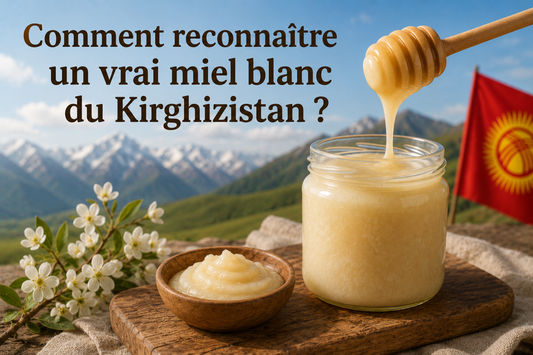 Comment reconnaître un vrai miel blanc du Kirghizistan ?