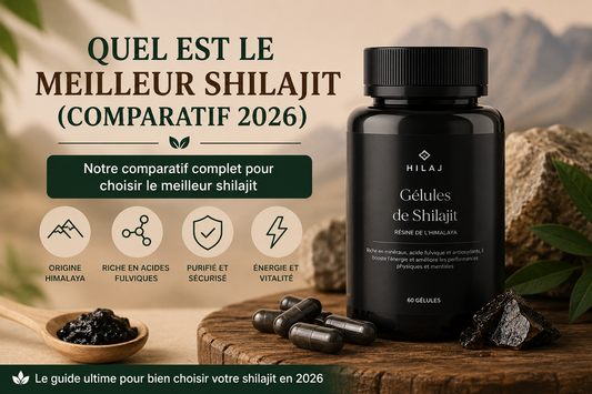 Quel est le meilleur shilajit (comparatif 2026 )