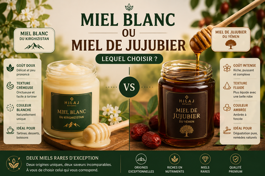 Miel blanc ou miel de jujubier : lequel choisir ?