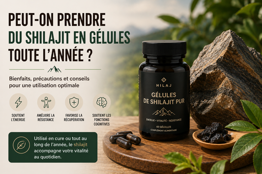 Peut-on prendre du shilajit en gélules toute l'année ?