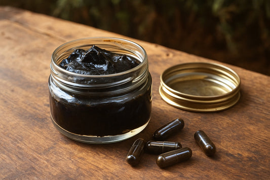 Gélules de Shilajit pur de l’Himalaya – complément ayurvédique naturel pour booster l’énergie et la vitalité.