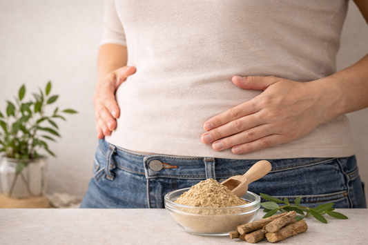 ventre gonflé solutions naturelles digestion costus indien