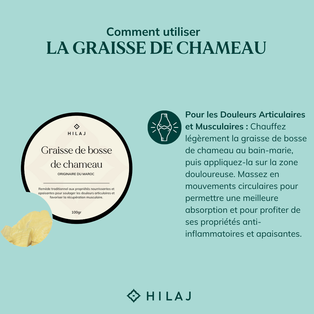 Graisse de chameau