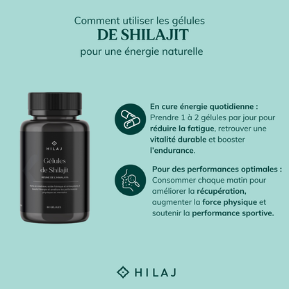 Gélules de Shilajit pur