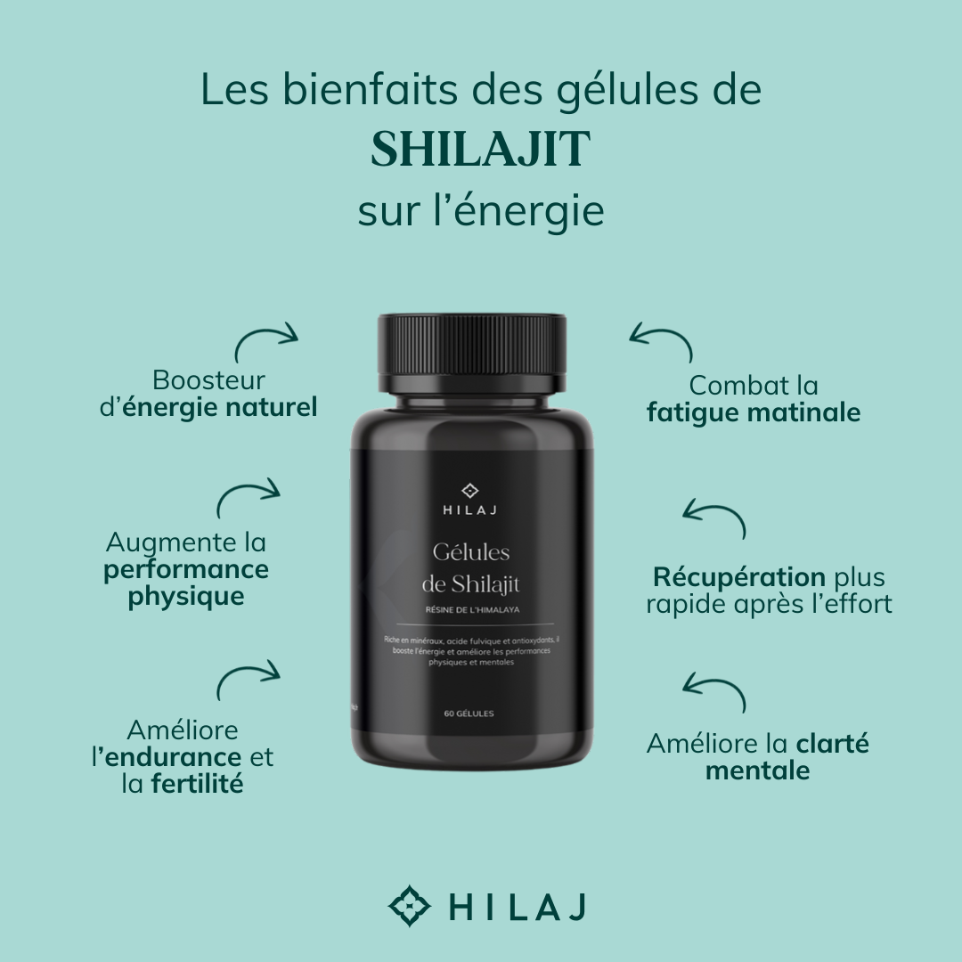 Gélules de Shilajit pur