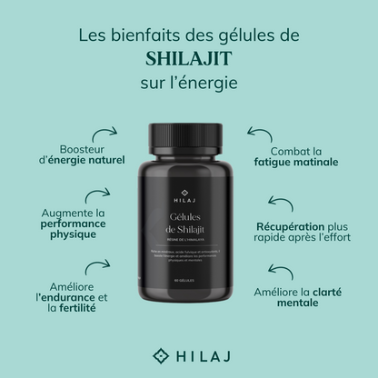 Gélules de Shilajit pur