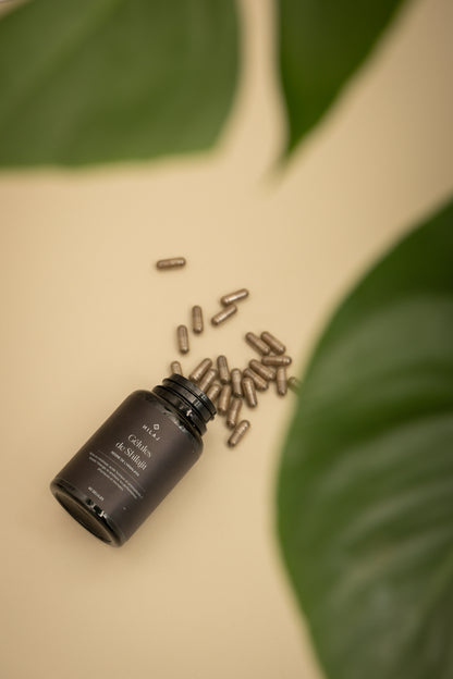 Gélules de Shilajit pur